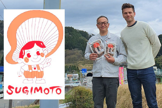 Rencontre avec notre producteur de shiitakés