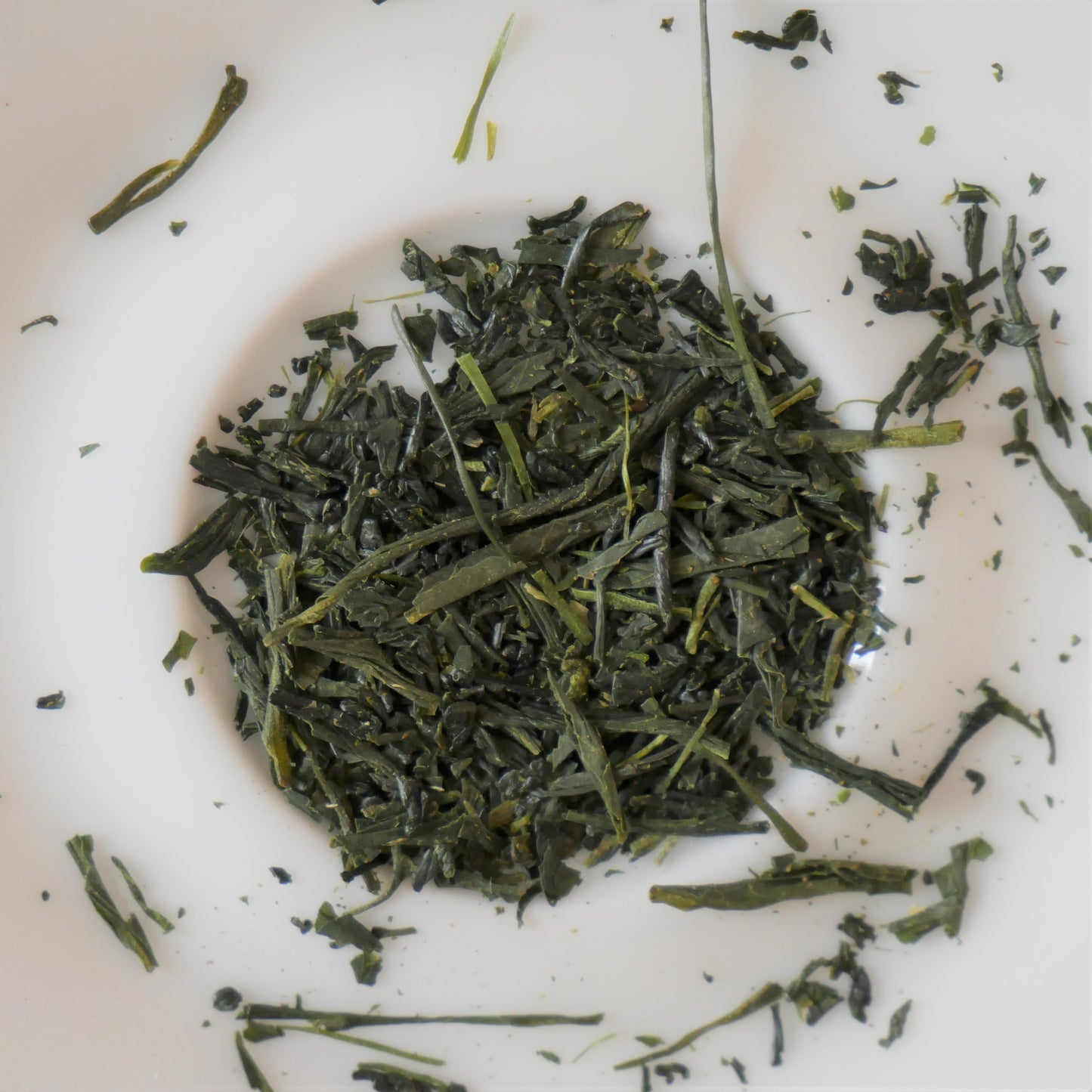 Sencha